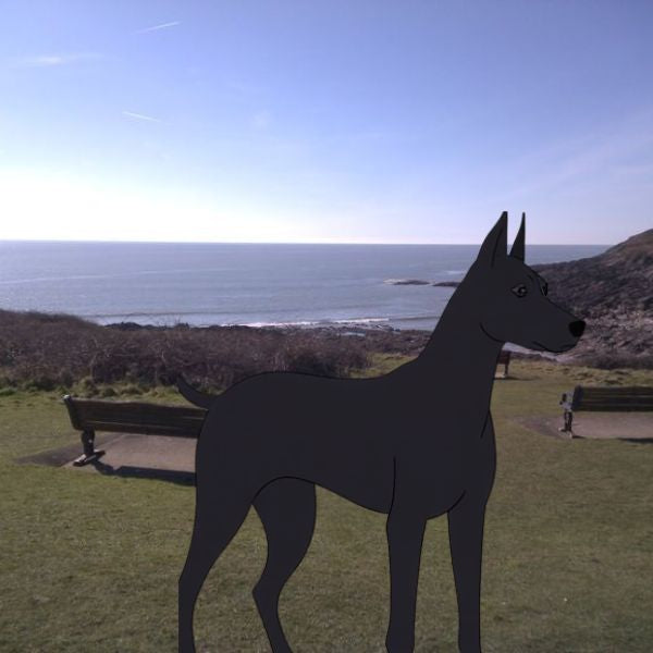 The Dog Picture Book