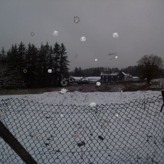 The Snow Picture Book
