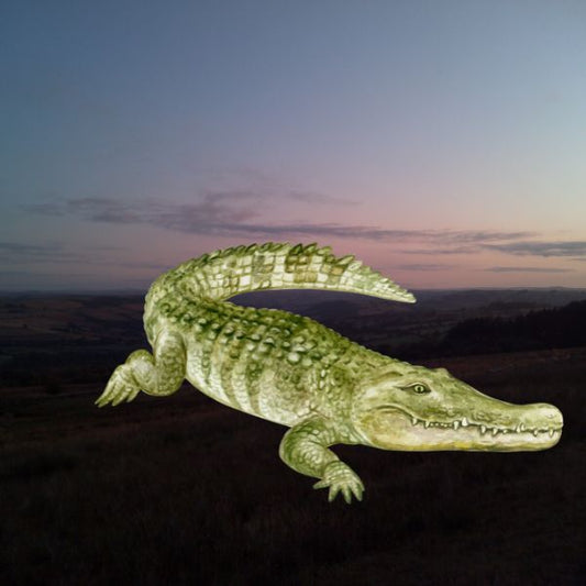 The Reptile Picture Book