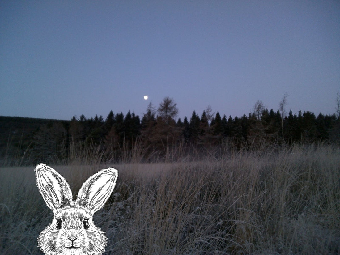 Gwen the Easter Bunny page 5