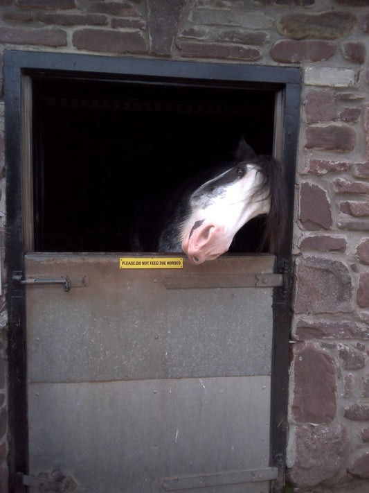 Back to Ceri