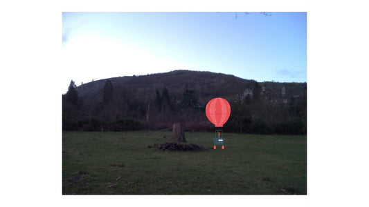 The Hot Air Balloon page 5