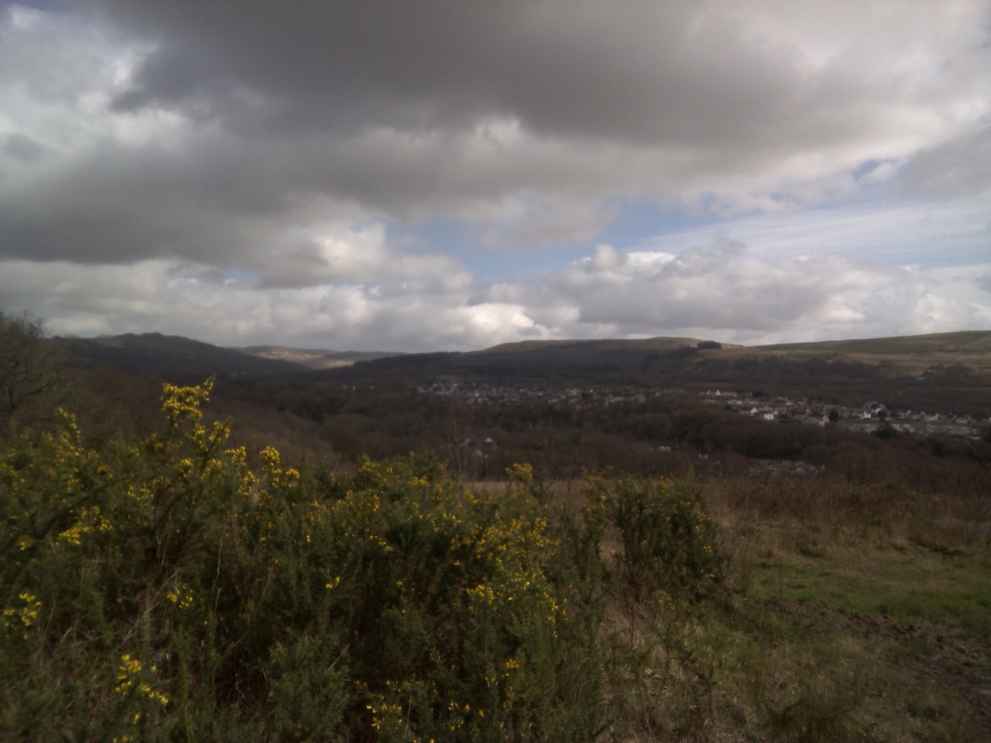 Digital Views of Beaches and Mountains