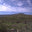 Sunlit Scenery logo