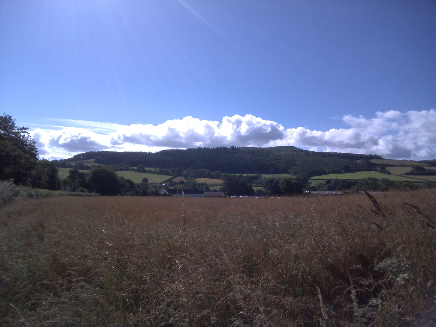 Digital Views of Beaches and Mountains