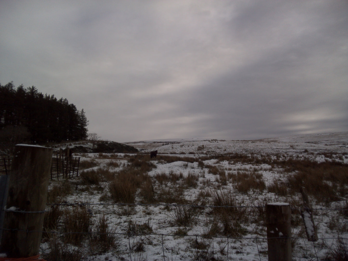 Digital Views of Beaches and Mountains