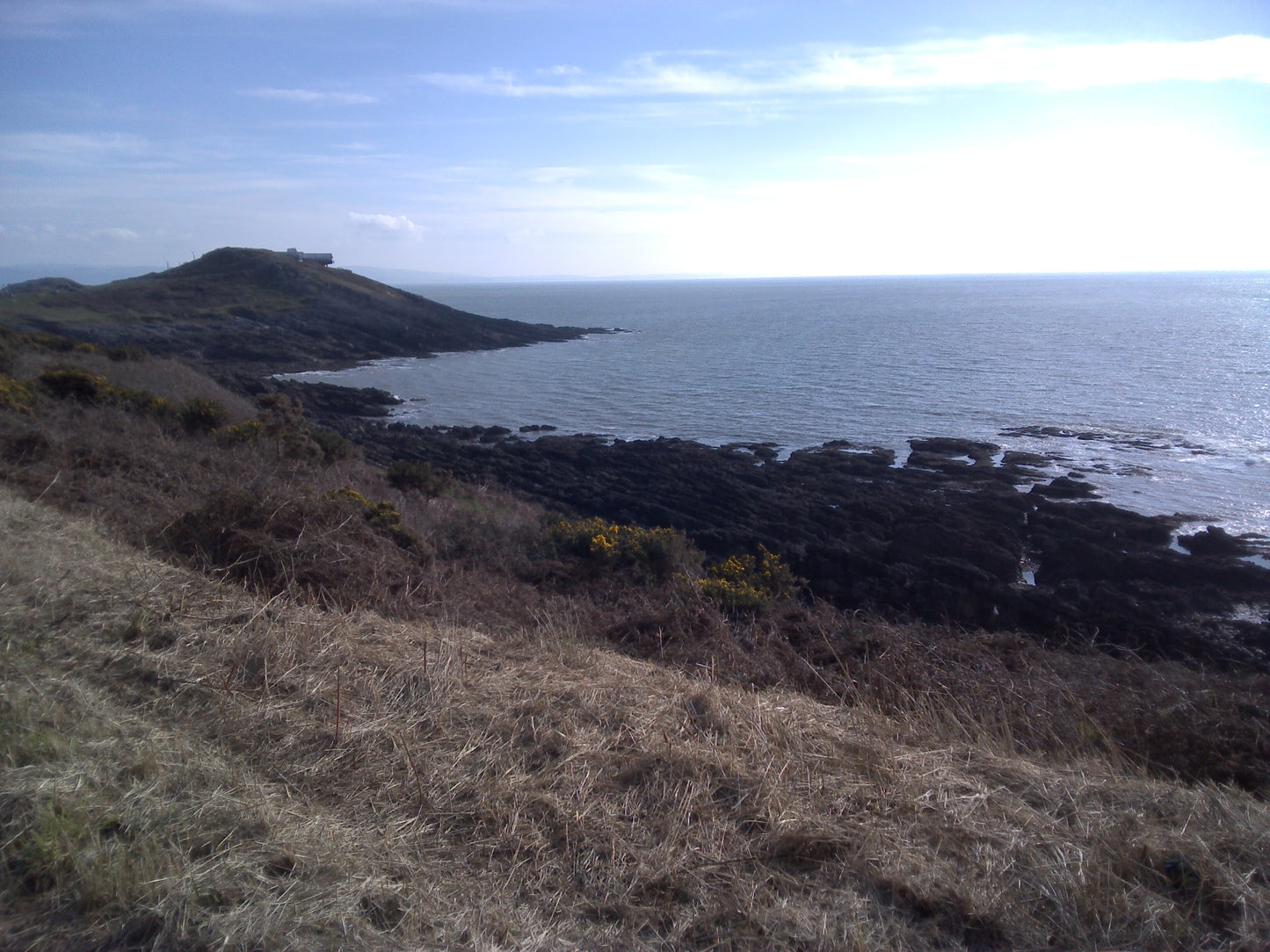 Digital Views of Beaches and Mountains