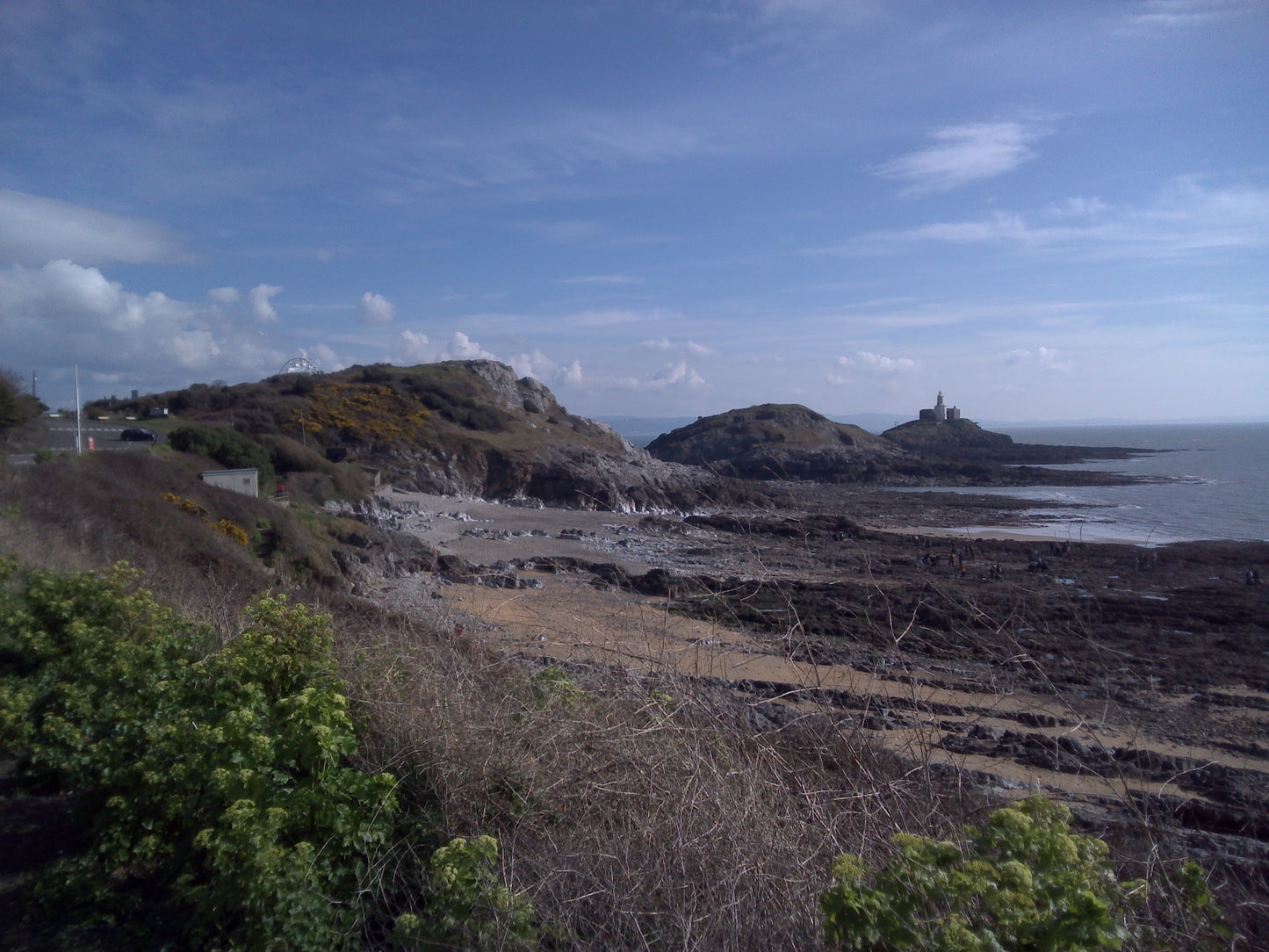 Digital Views of Beaches and Mountains