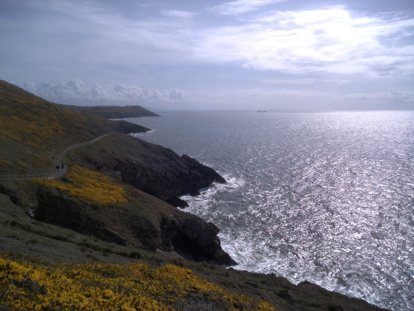 Digital Views of Beaches and Mountains