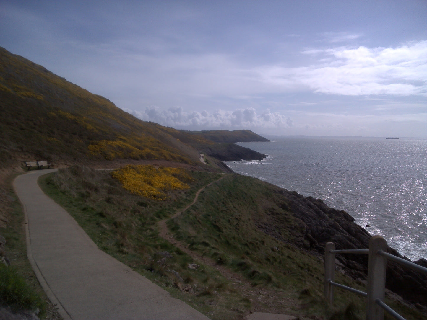 Digital Views of Beaches and Mountains
