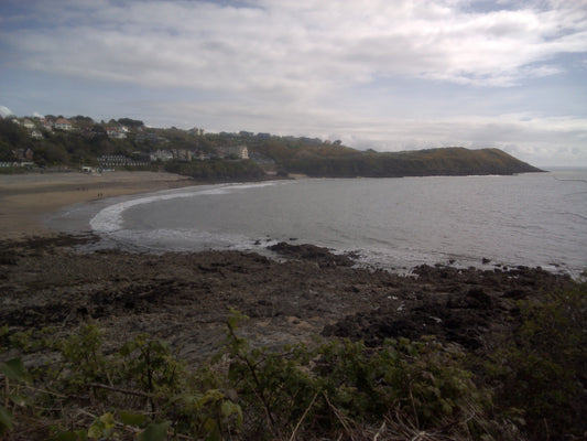 Digital Views of Beaches and Mountains