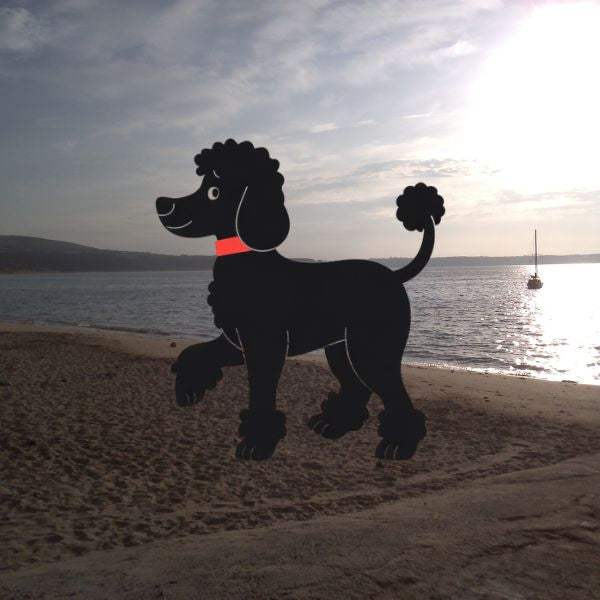 The Dog Picture Book