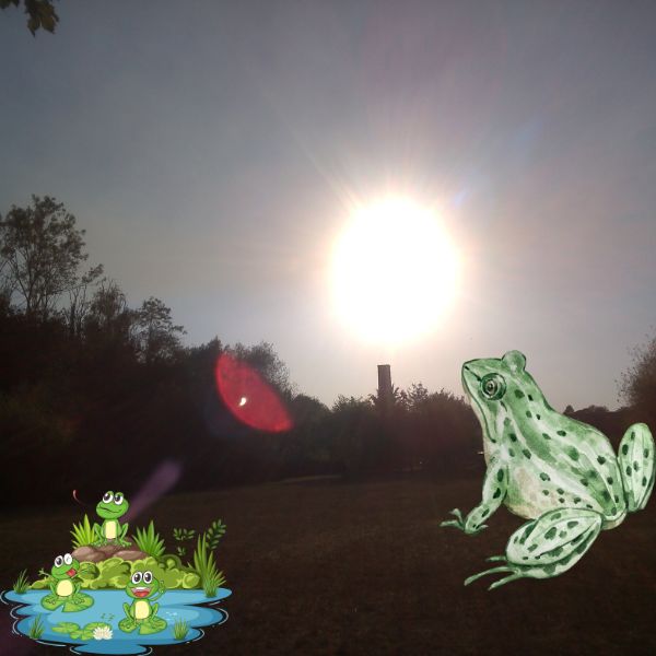 The Reptile Picture Book