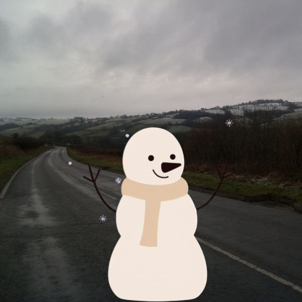 The Snow Picture Book