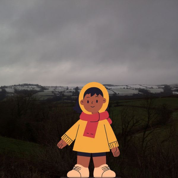 The Snow Picture Book
