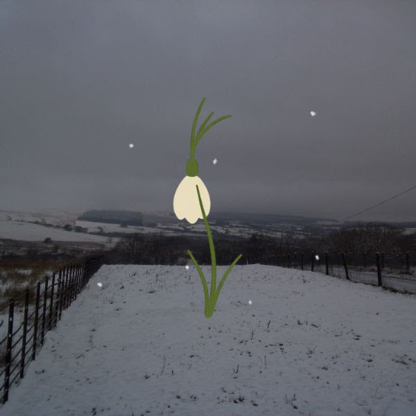 The Snow Picture Book