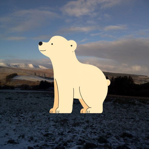 The Snow Picture Book