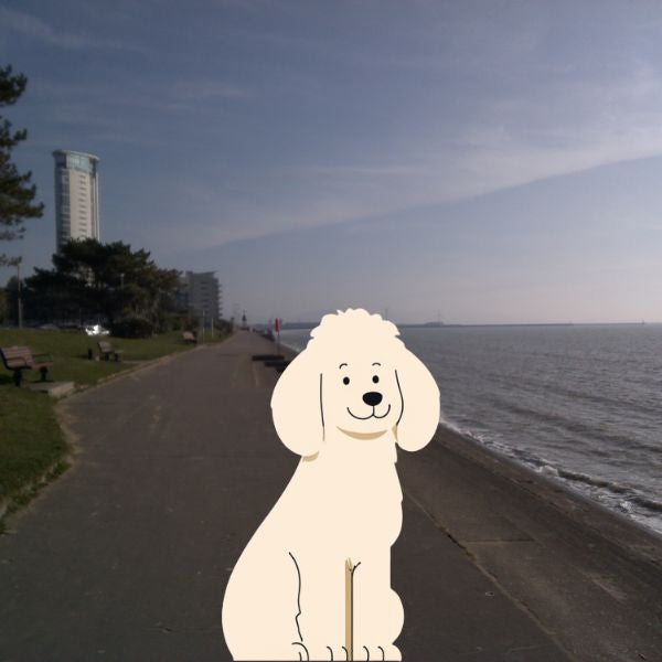 The Dog Picture Book