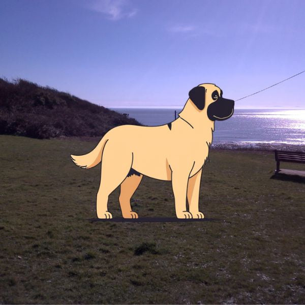 The Dog Picture Book