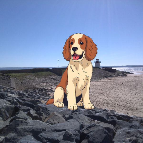 The Dog Picture Book
