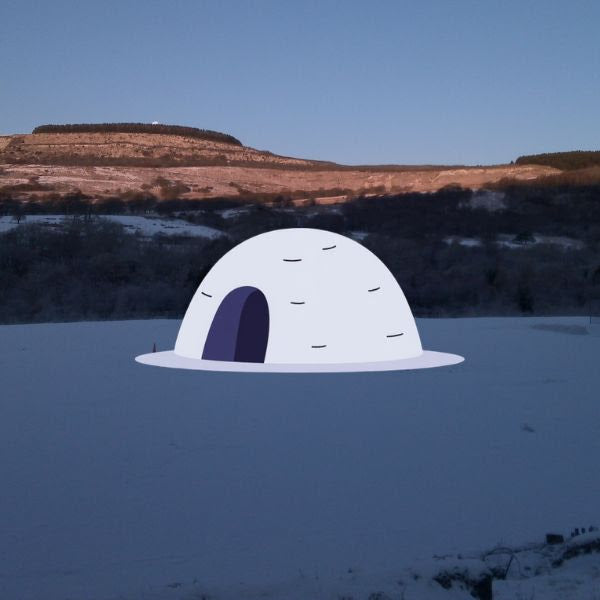 The Snow Picture Book