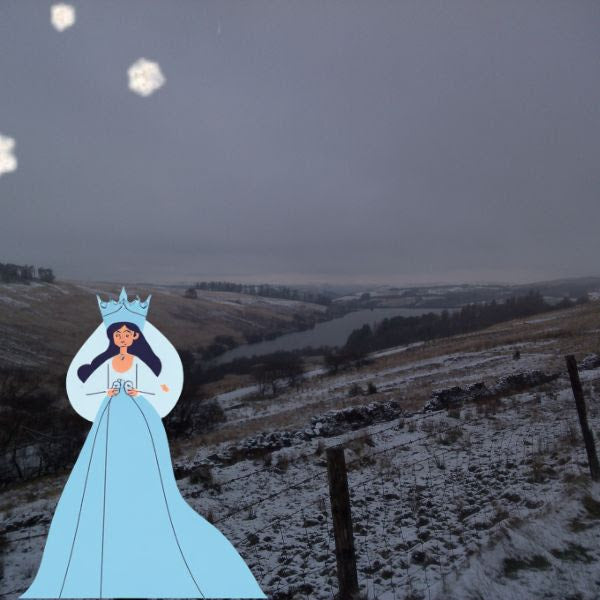 The Snow Picture Book