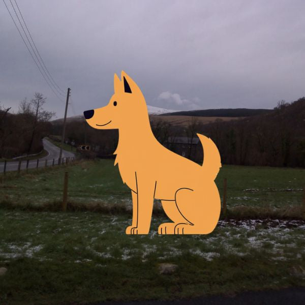 The Dog Picture Book