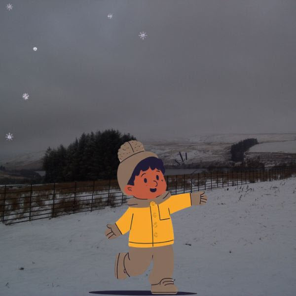 The Snow Picture Book