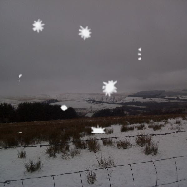 The Snow Picture Book