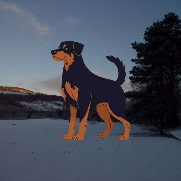 The Dog Picture Book