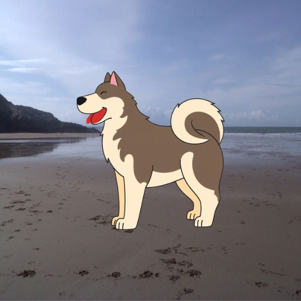 The Dog Picture Book