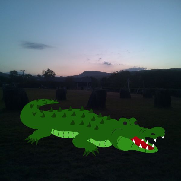 The Reptile Picture Book