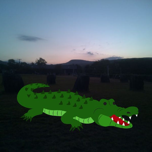The Reptile Picture Book