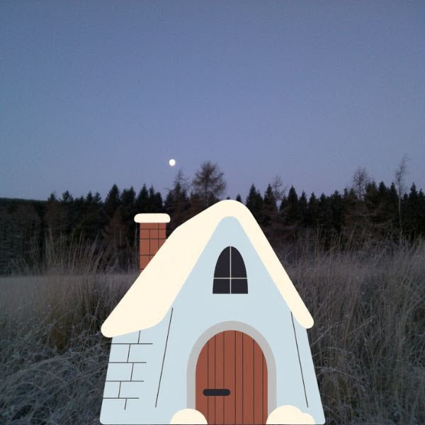 The Snow Picture Book